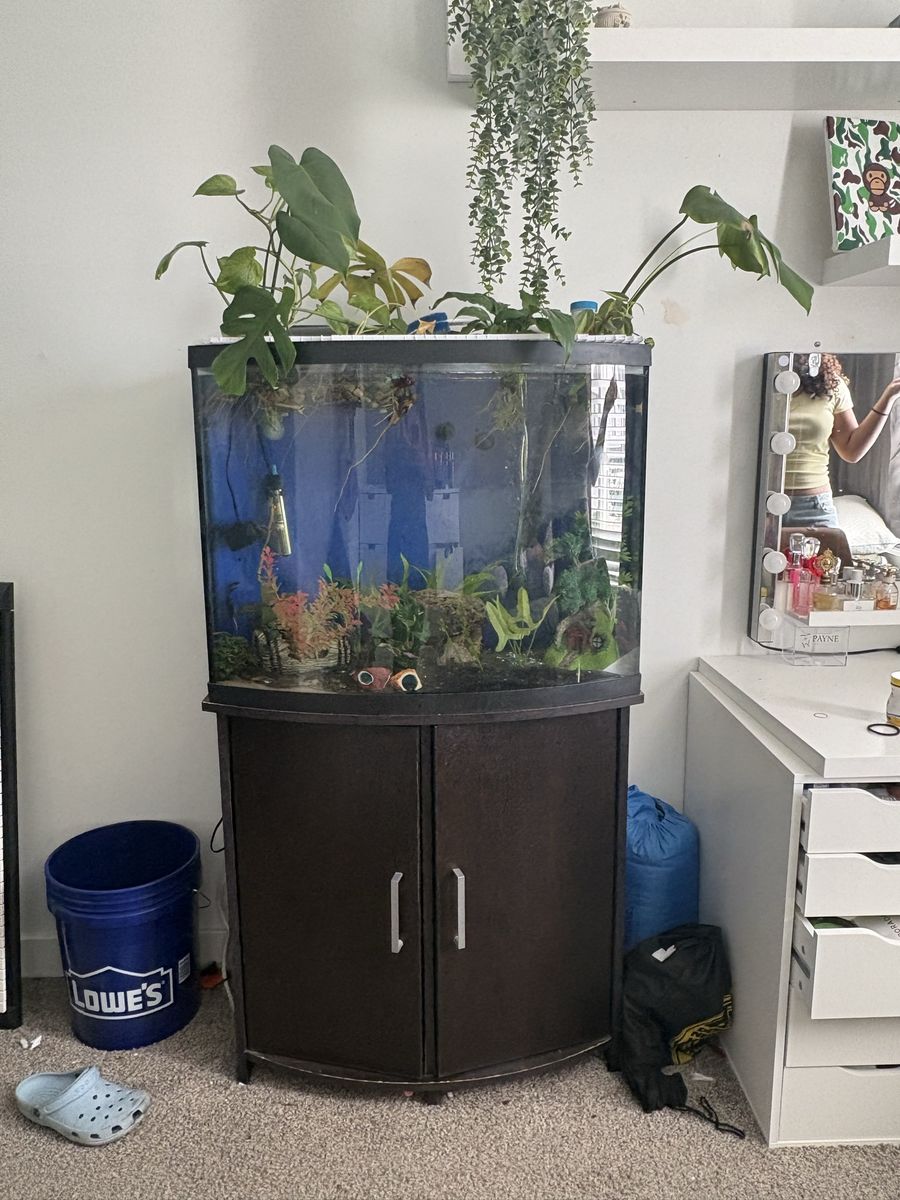 45 G tank with stand with everything best offer