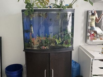 45 G tank with stand with everything best offer