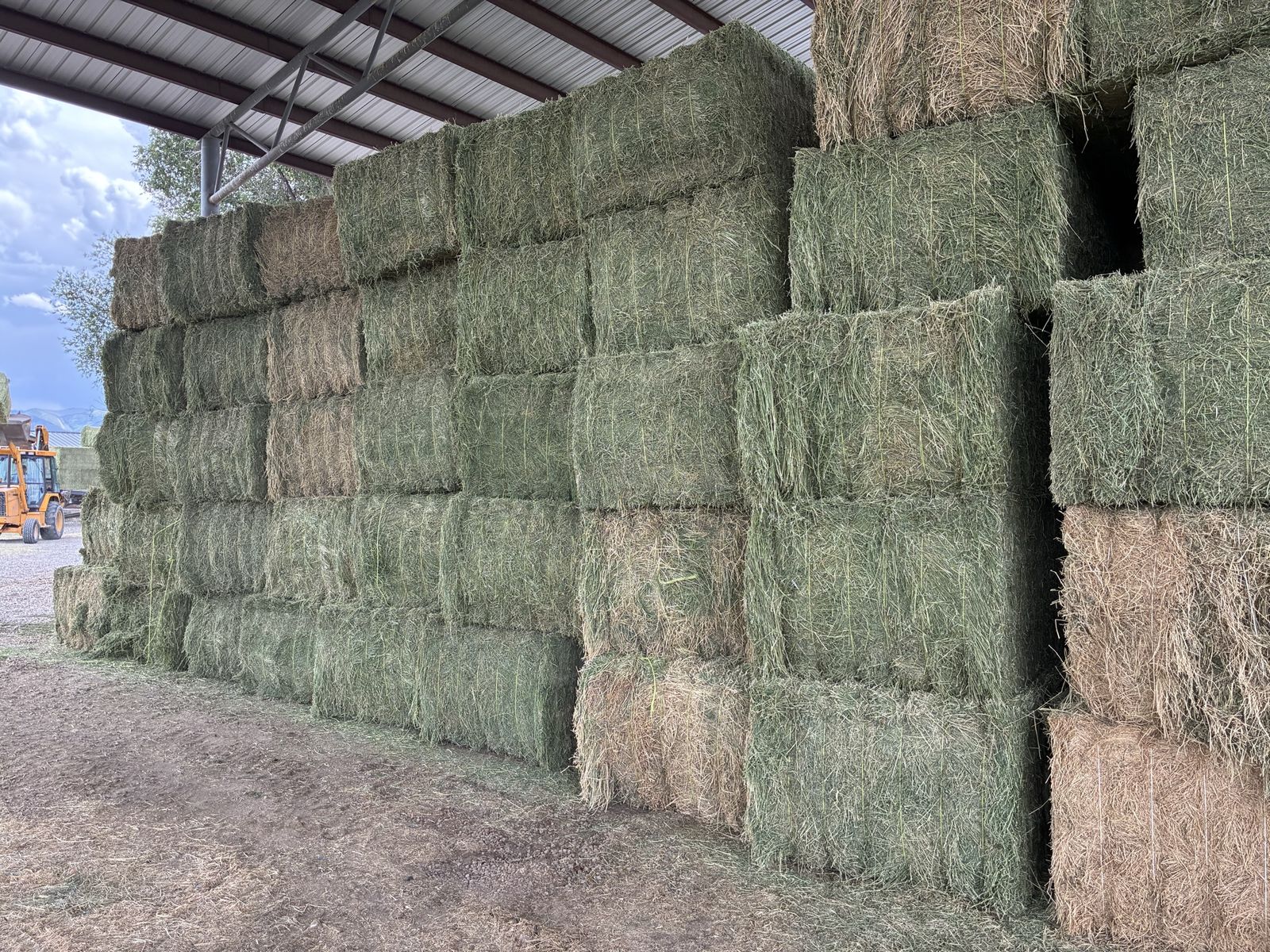 Premium 2026 First-Crop Alfalfa — Free Local Delivery