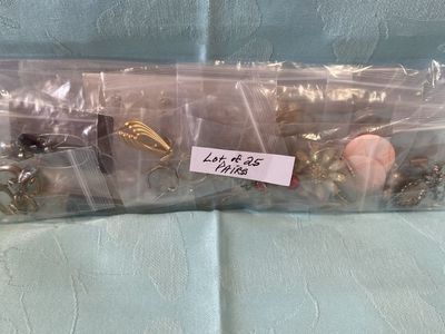Jewelry (Lot of 25 Pairs of Earrings) Look!