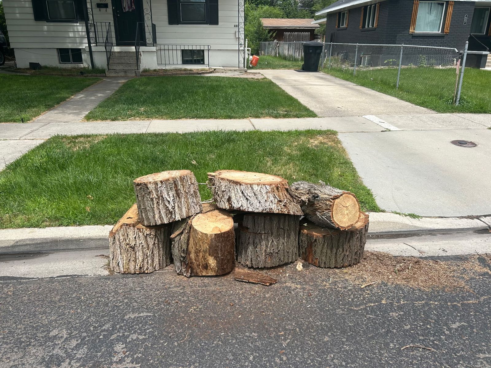 Free dry pine firewood