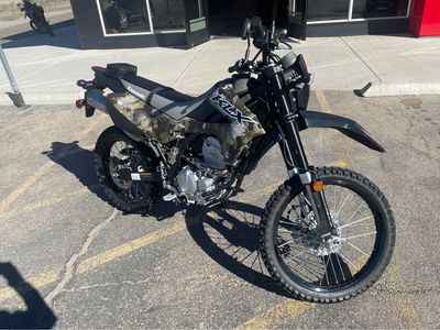 2026 Kawasaki KLX® 300