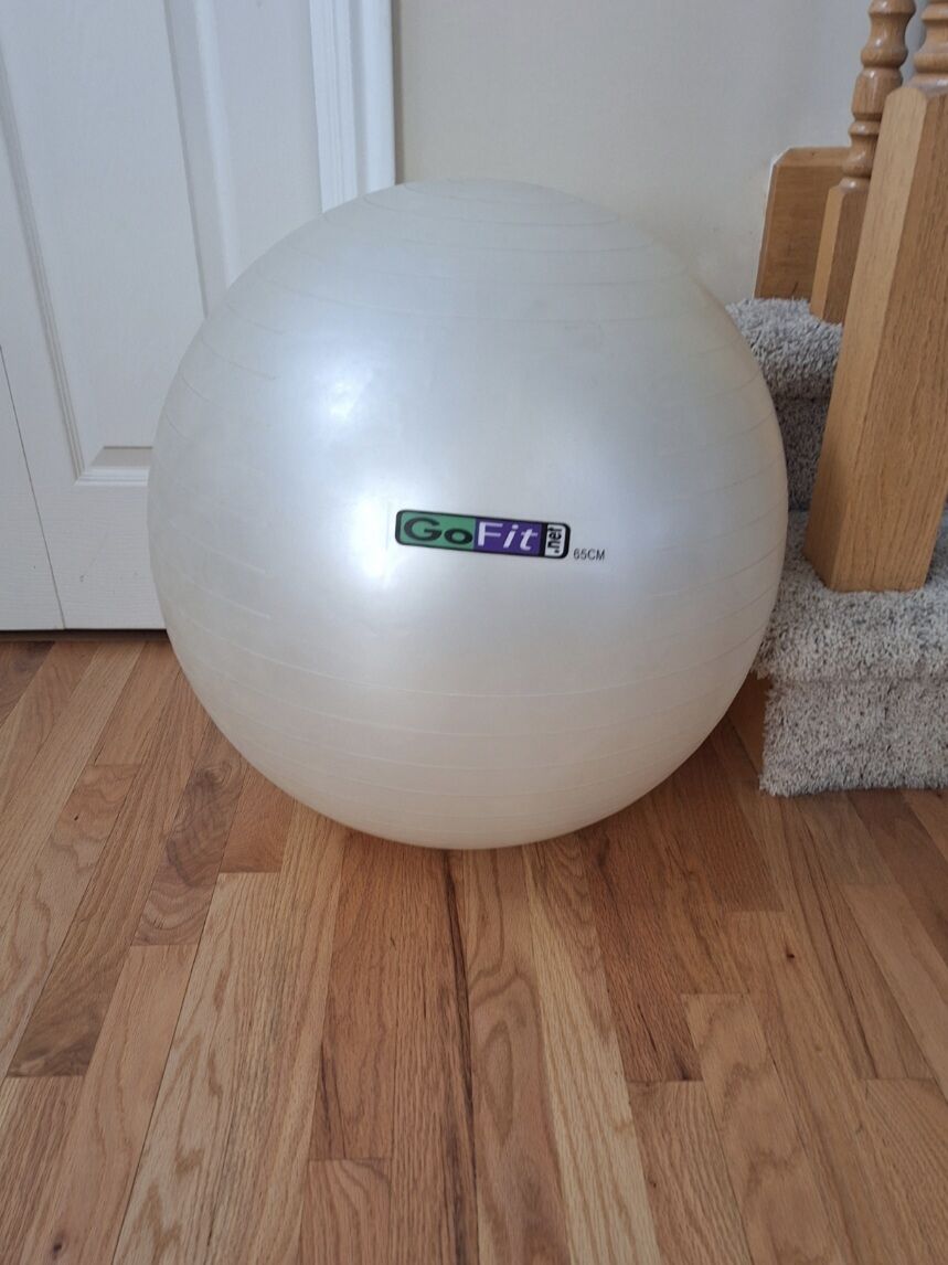 The GoFit Large Exercise Ball