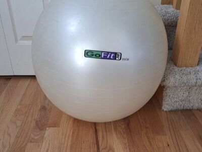 The GoFit Large Exercise Ball