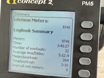 Concept2 RowErg (Model D) with PM5 Monitor – Like New