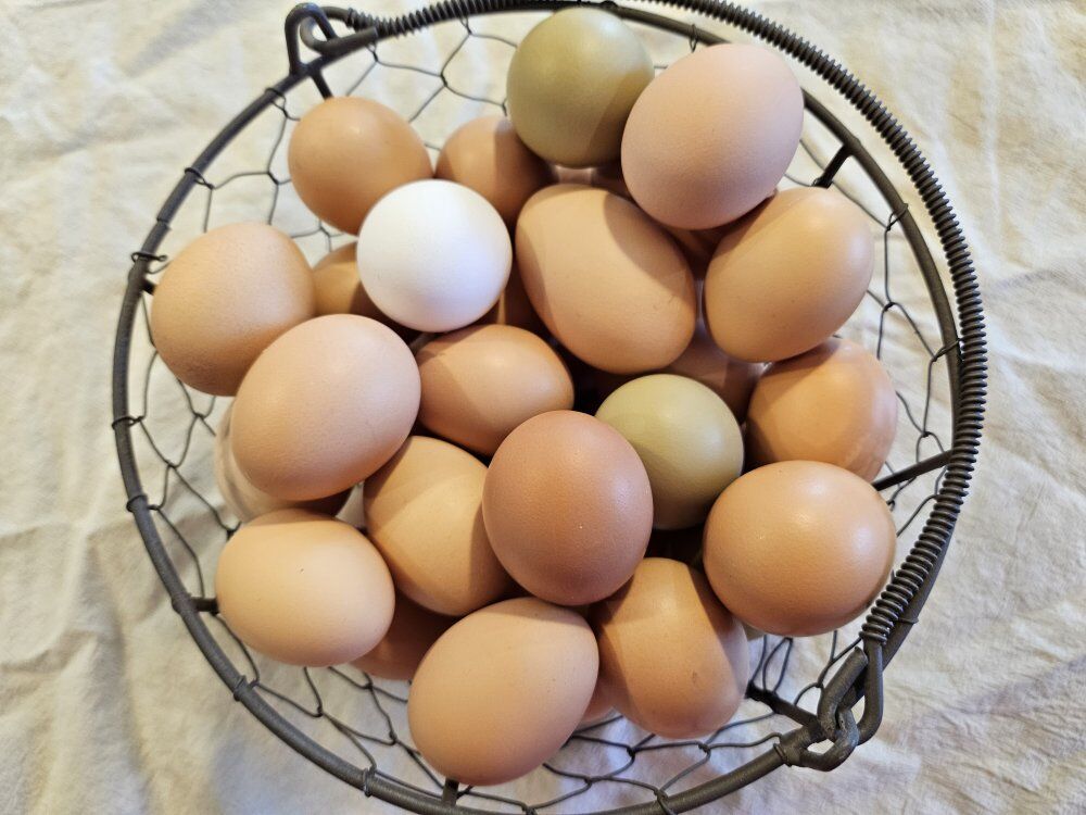 Pastured Eggs