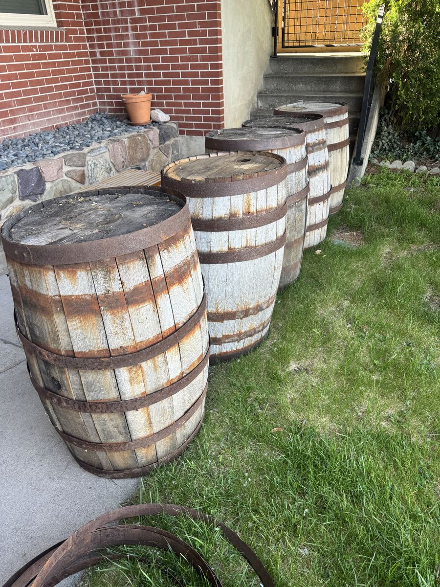 Five decorative whiskey barrels or garden