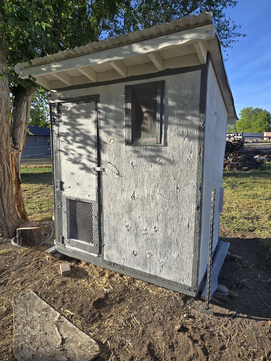 Chicken Coop - FULLY INSULATED