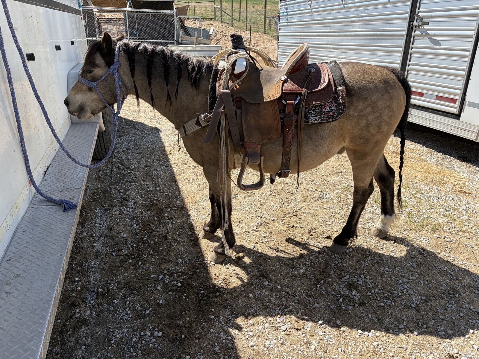 I have a few openings for outside horses or ponies