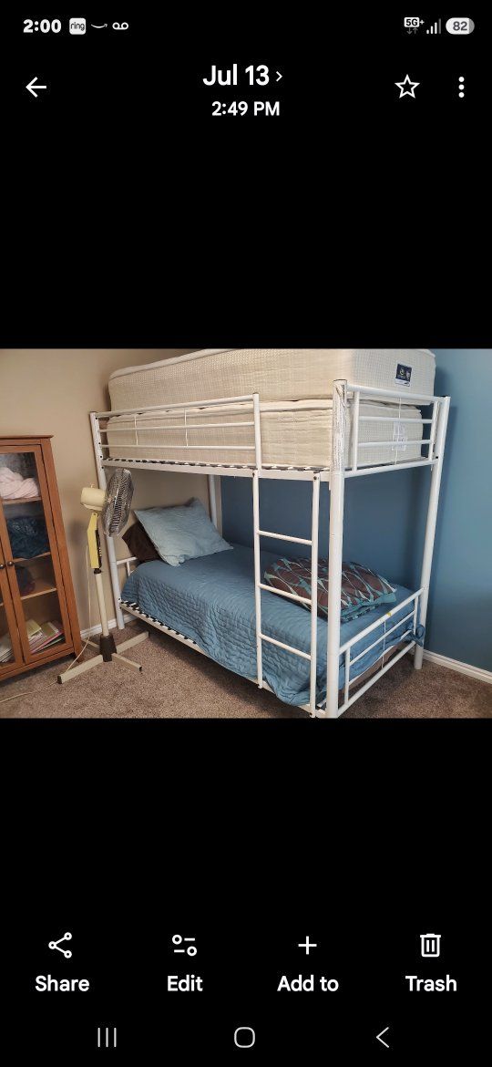 bunk bed 