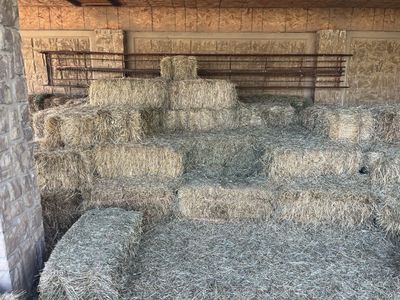 Grass Hay