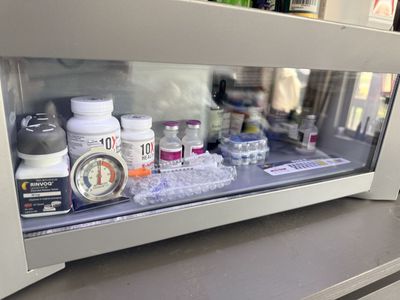 Redbull Mini Refrigerator Peptide Medicine Suppliments Redbull etc OR BEST OFFER!