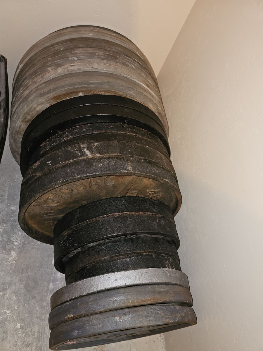 Plate weights of 100, 50, 45, 35 lbs