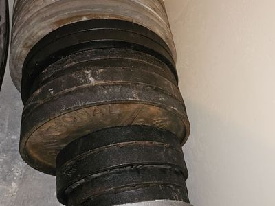 Plate weights of 100, 50, 45, 35 lbs