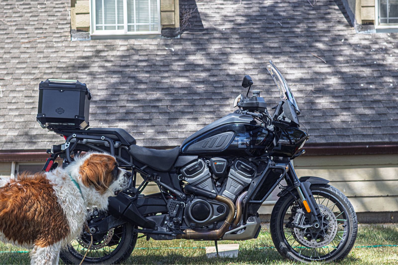 Harley-Davidson Pan America 1250 Special Adventure Motorcycle