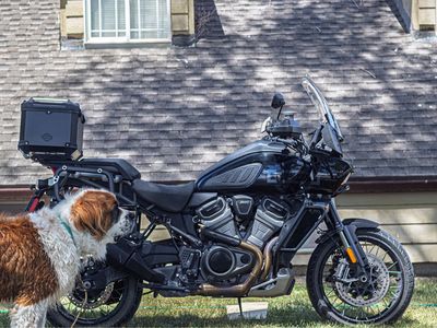 Harley-Davidson Pan America 1250 Special Adventure Motorcycle