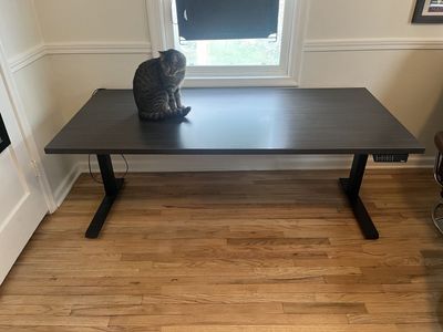 Standing Desk