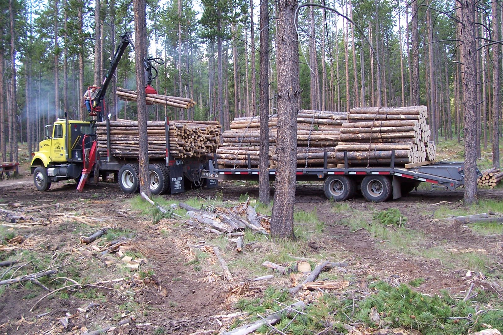 Self Loading Log Truck with 10 ton Trailer