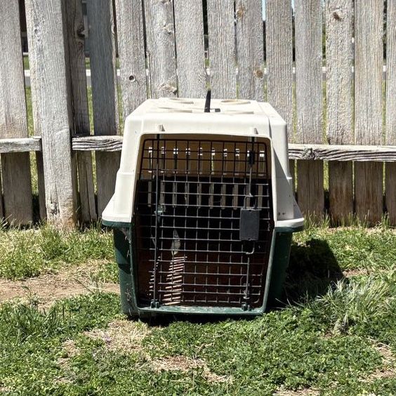 Medium Dog Crate