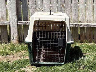 Medium Dog Crate