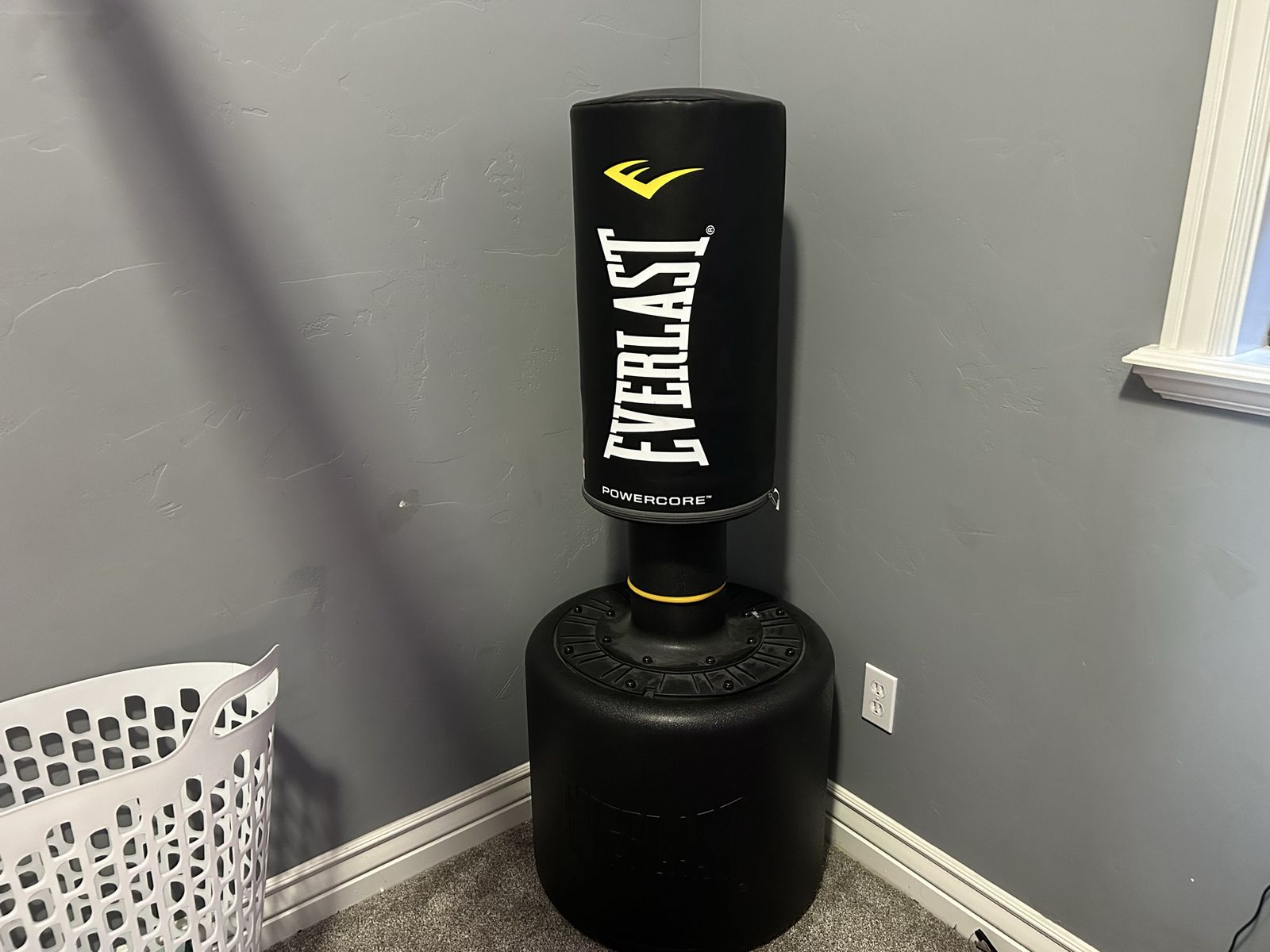 Everlast Punching Bag