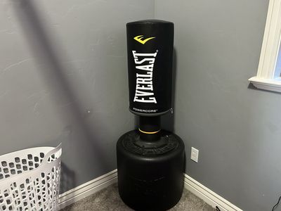 Everlast Punching Bag