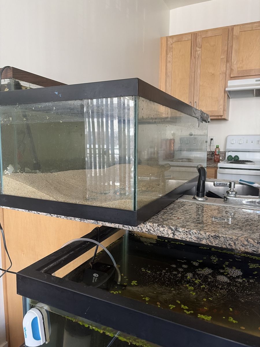 50 Gallon Aquarium