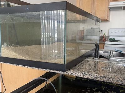 50 Gallon Aquarium