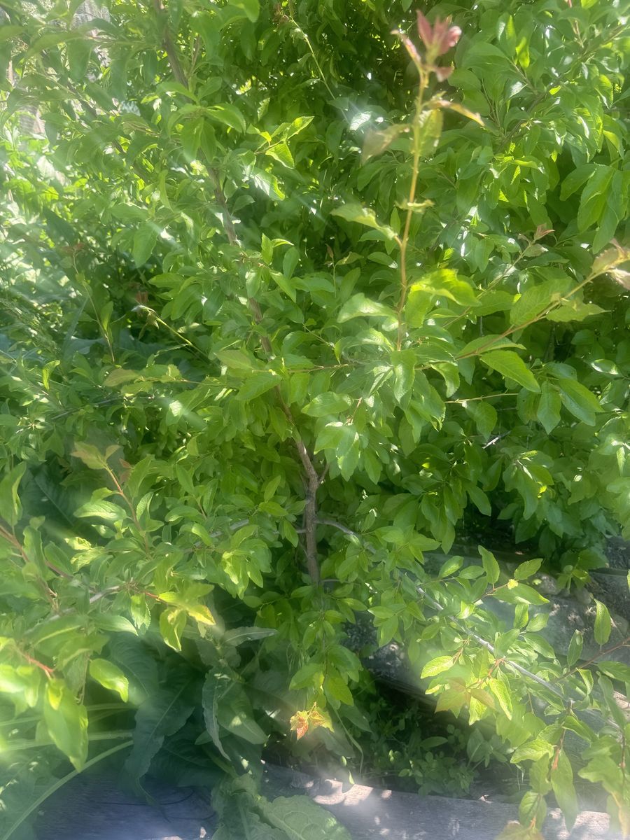 Main image 3