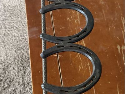 Horseshoe Boot Stand
