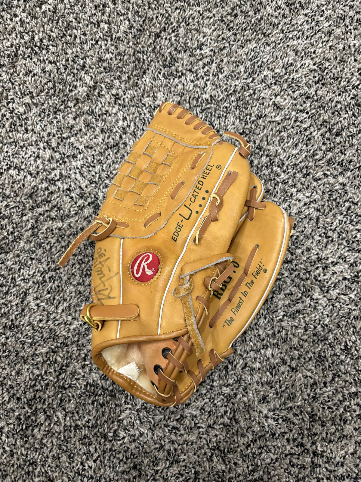 Baseball Glove