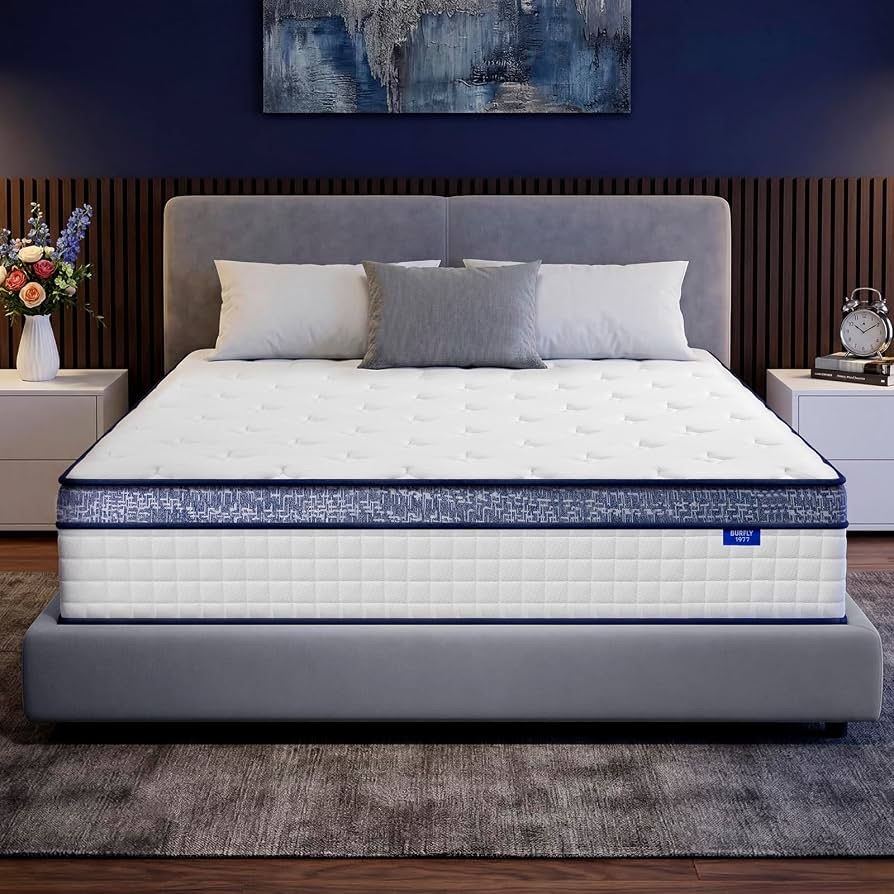 Burfly1977 Queen Mattress 12 Inch Hybrid