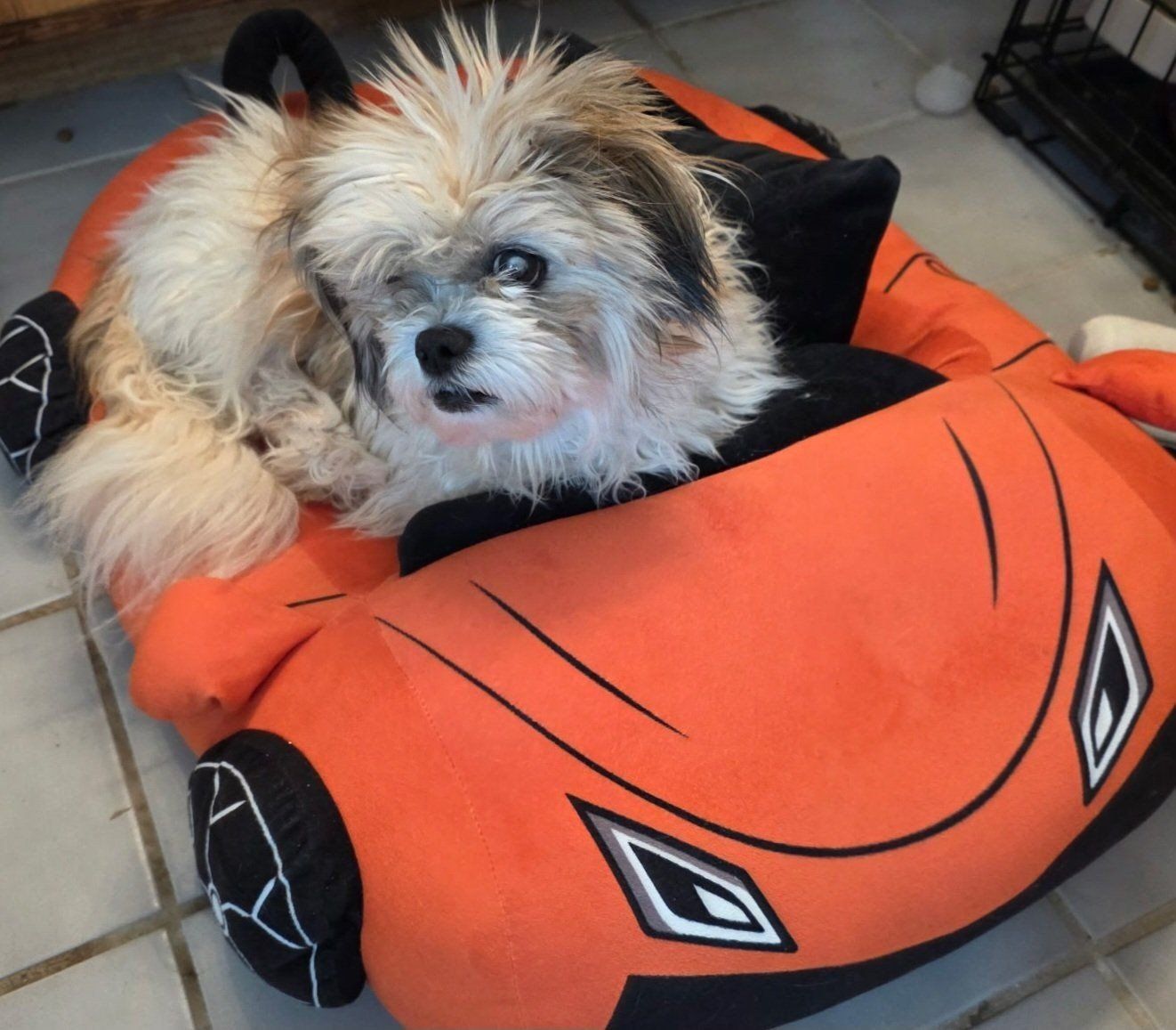 Dixon, well, we all need love and a HOME!