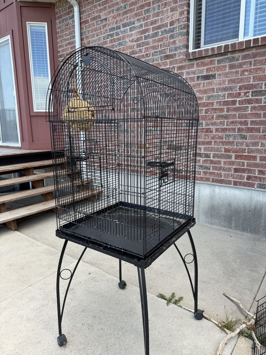 Bird cage
