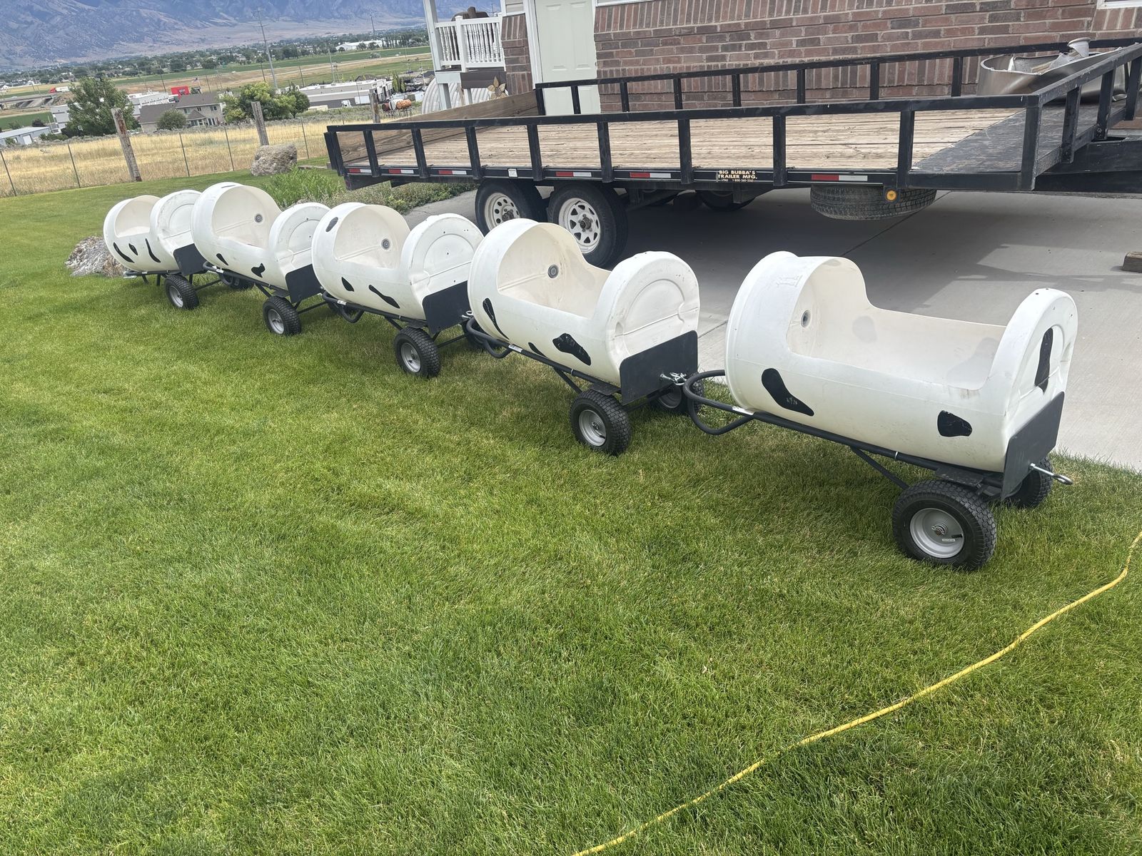 5 car cow train for rent
