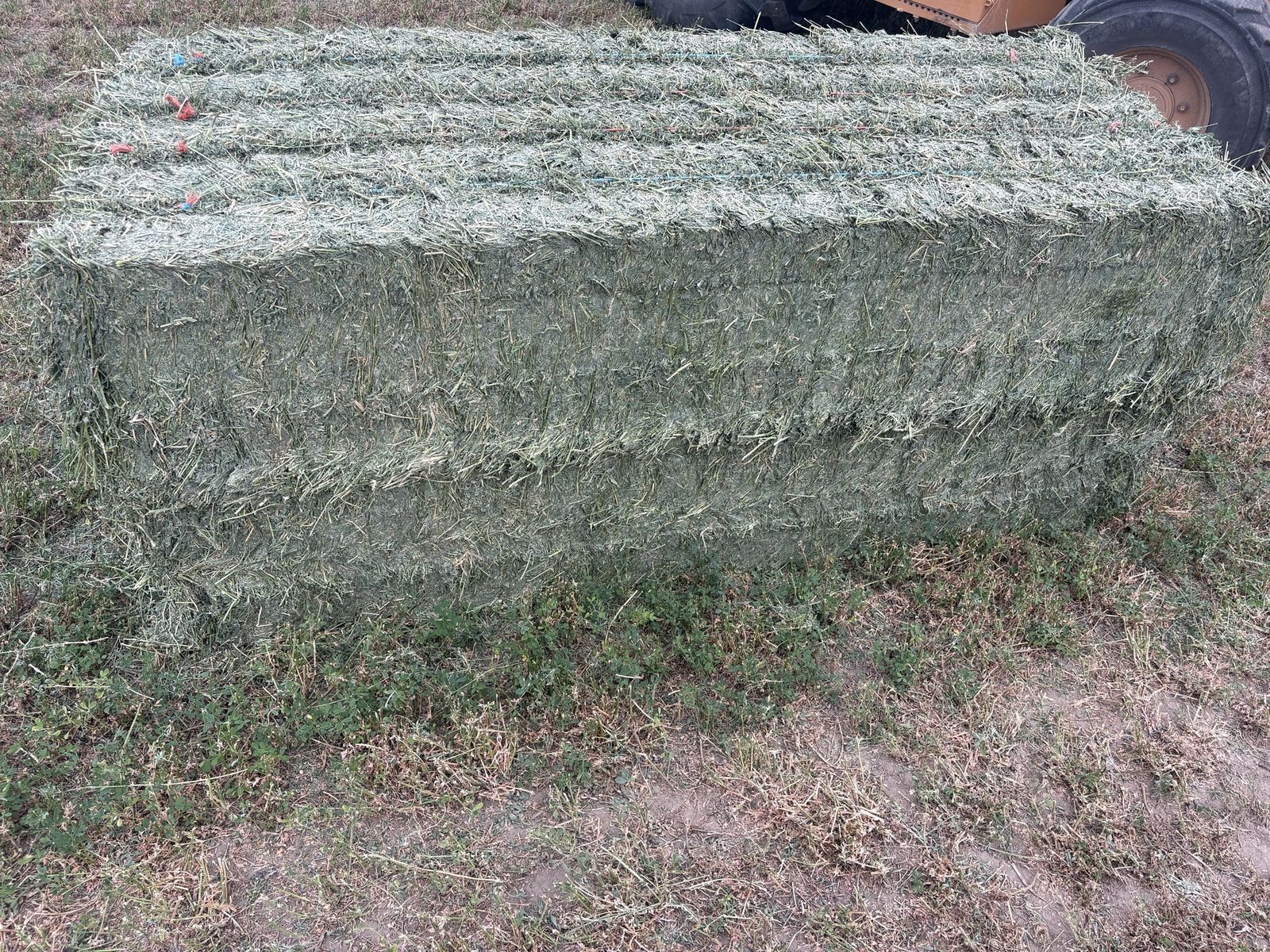 3x3 alfalfa hay