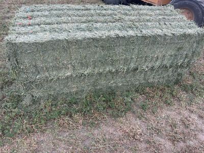 3x3 alfalfa hay