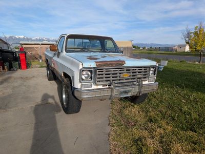 1976 CHEVROLET C/K 10 K10 Silverado