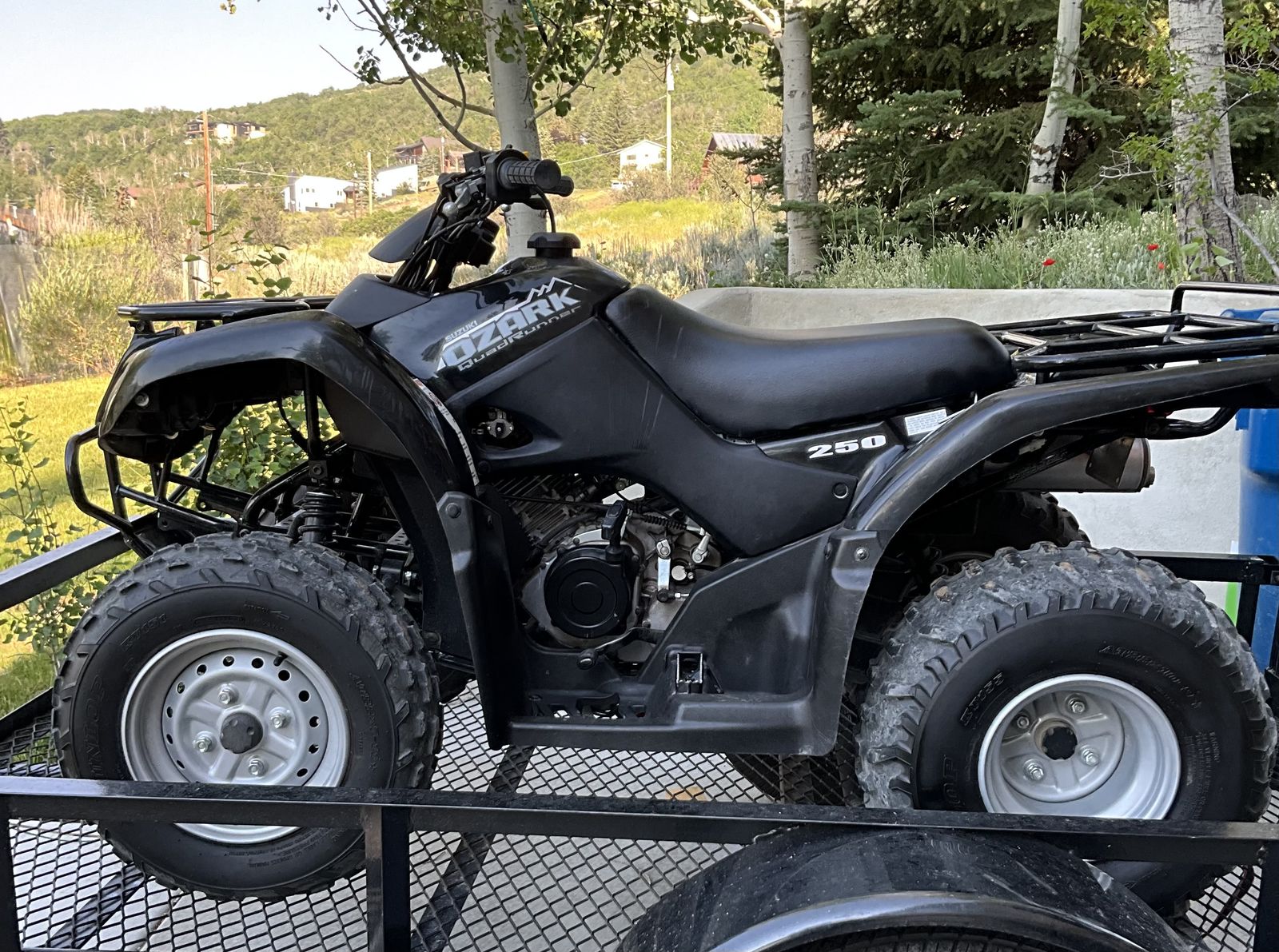 Suzuki Ozark 250