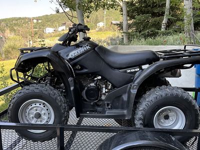 Suzuki Ozark 250