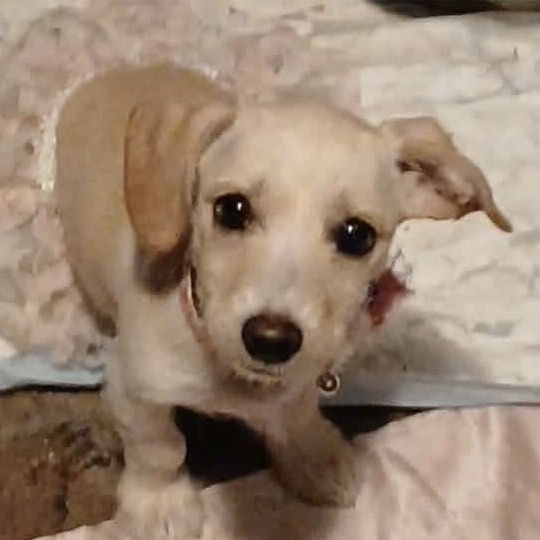 Hello my name is Matilda