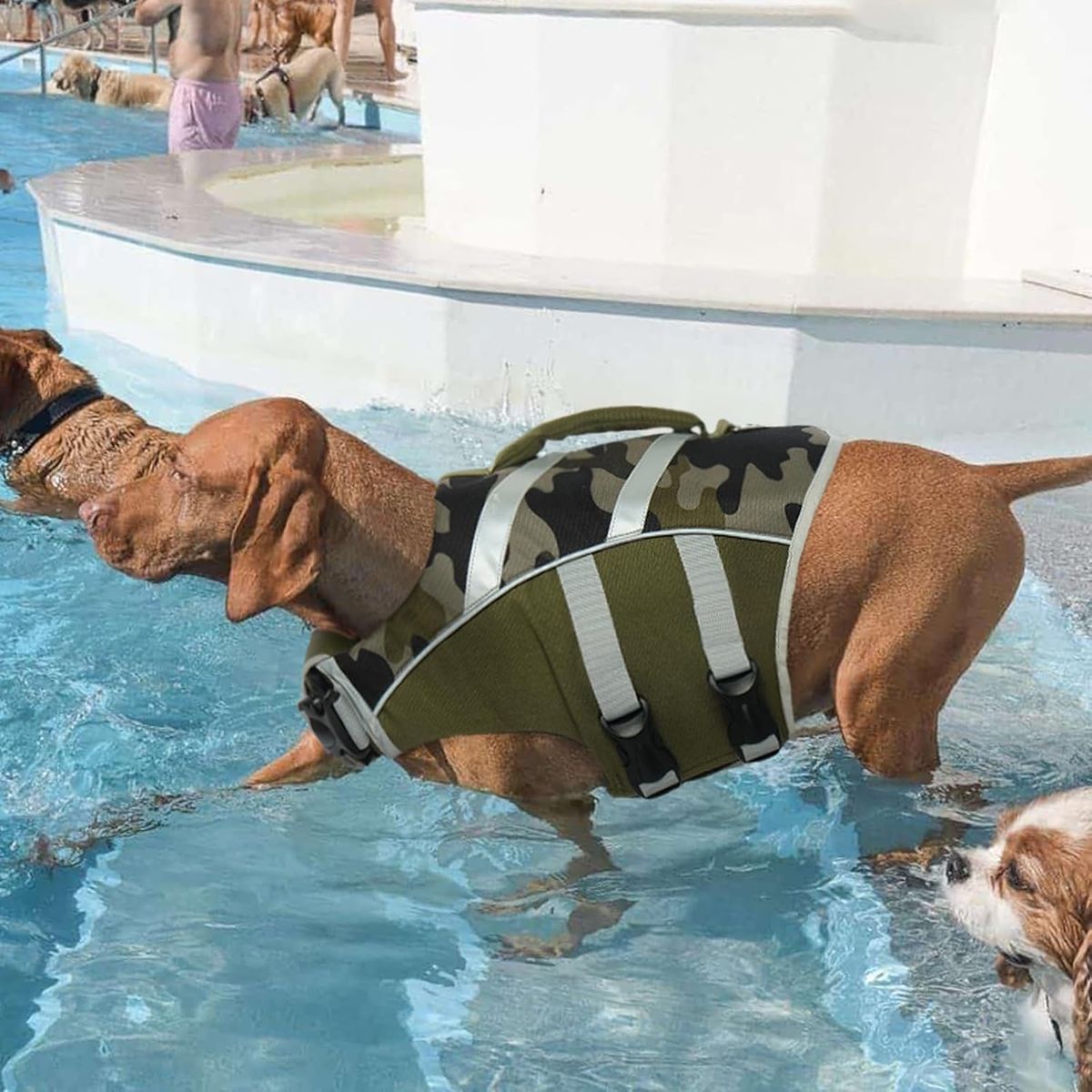 Kuoser Dog Life Jacket
