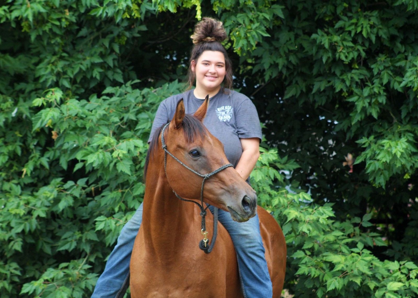 14 yr old thoroughbred