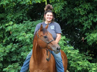 14 yr old thoroughbred