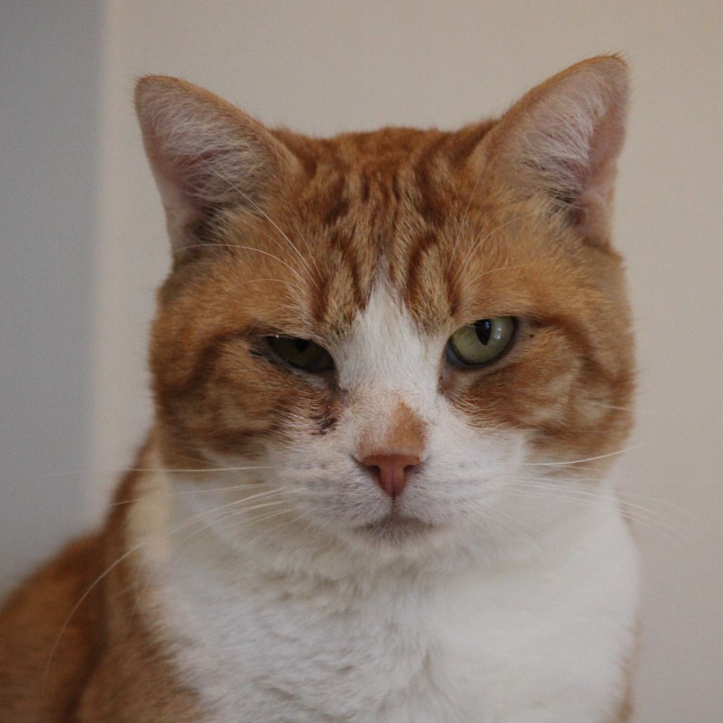 Hello my name is Bran