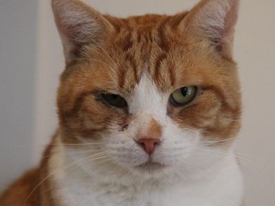 Hello my name is Bran