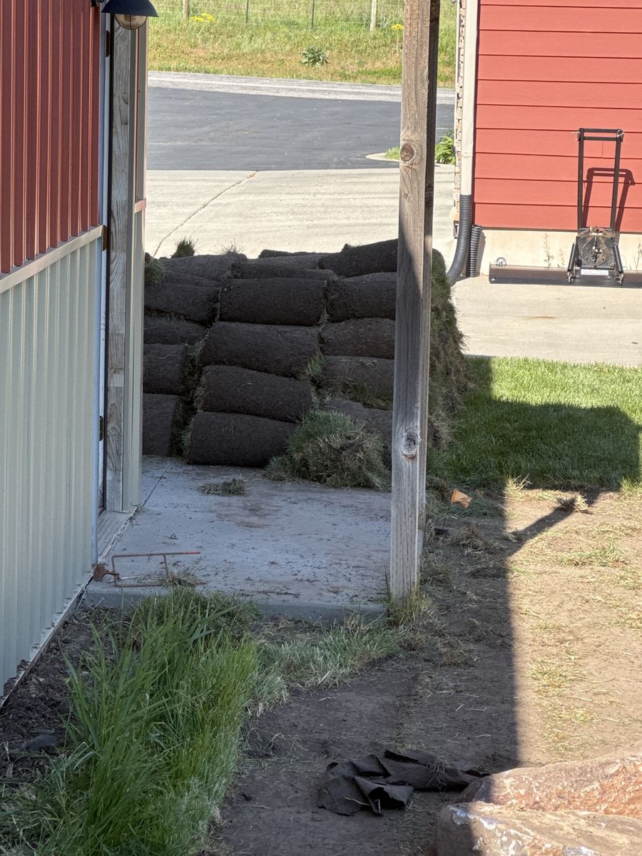 Sod- cut and rolled