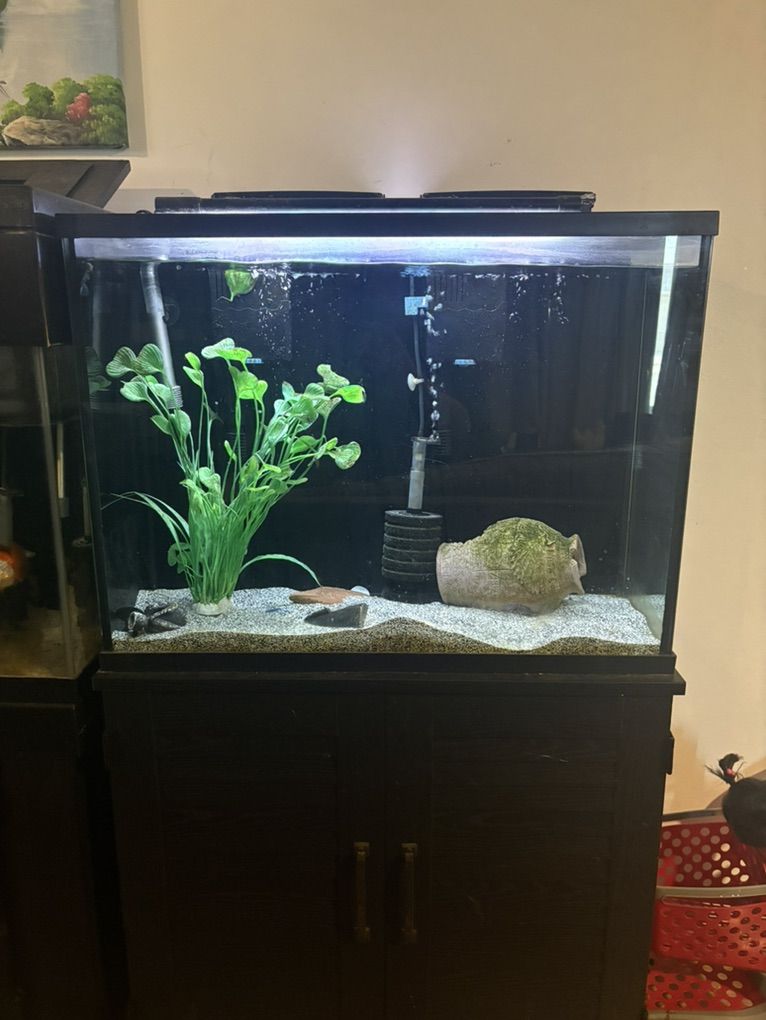 Fish Tank