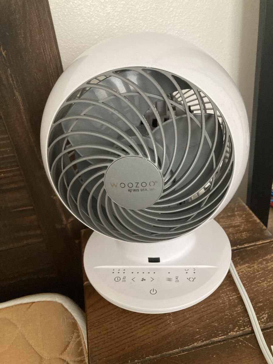 WOOZO Circulator Fan
