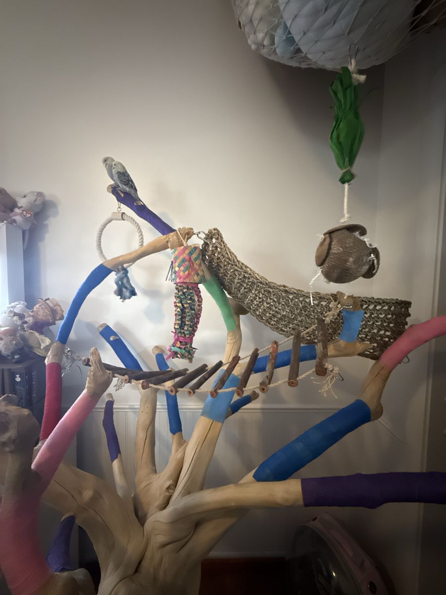 Large Wooden Bird Play Stand/Perch Parrot, Parakeet, Cockatiel
